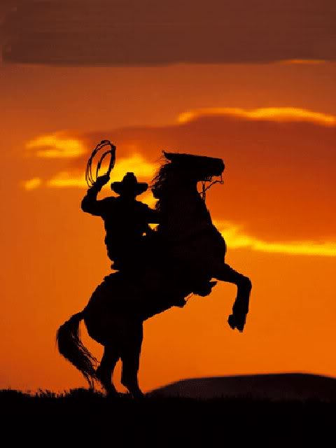 Cowboy Christmas 2013 Pictures Wallpapers